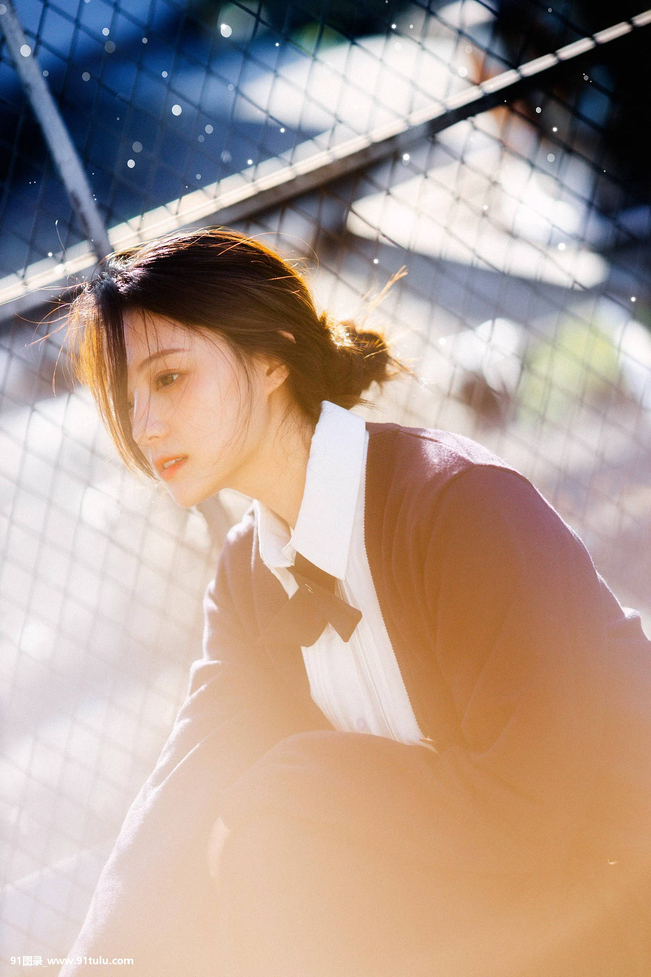 Sunshine [26P][ジョルテ 写真 表示 されない]