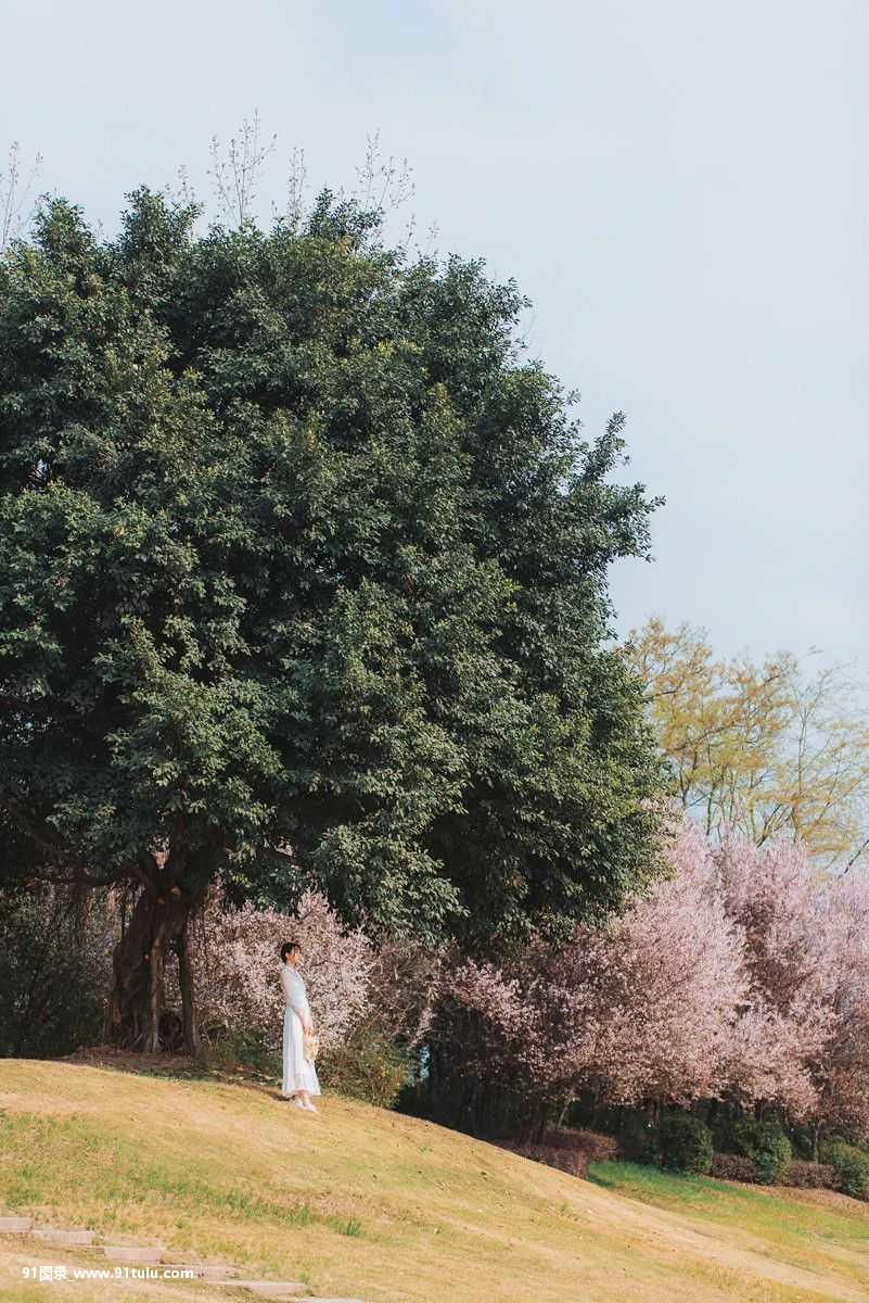 春之少女 [23P][宜家 全裸]