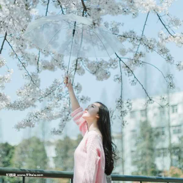 樱花再见 [12P][浅川 梨奈 写真 集]