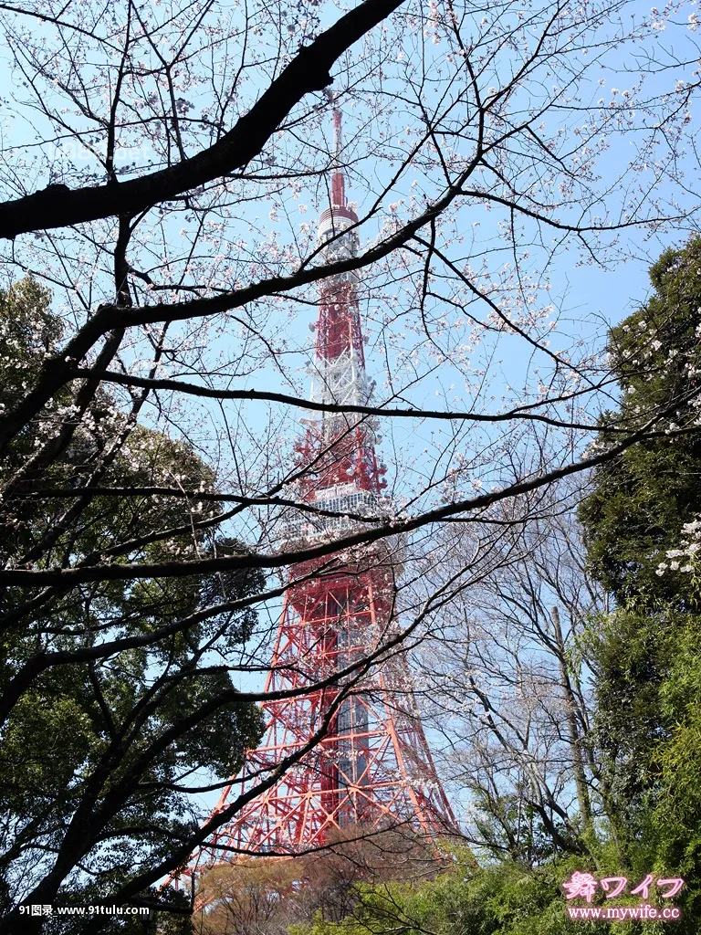 内海 直子 [59P][ニベア 缶 写真]